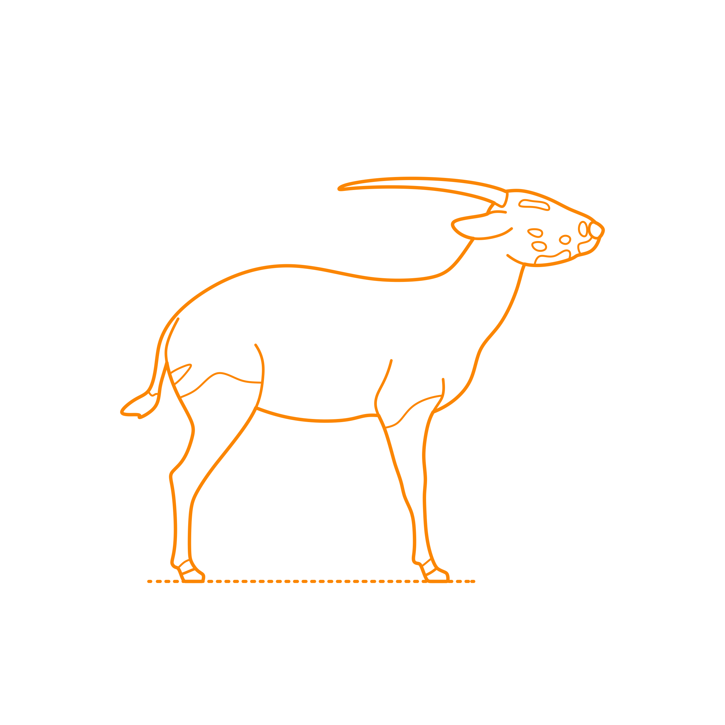 Animals Bovines Saola Outline Icon Svg Set Free Vectors